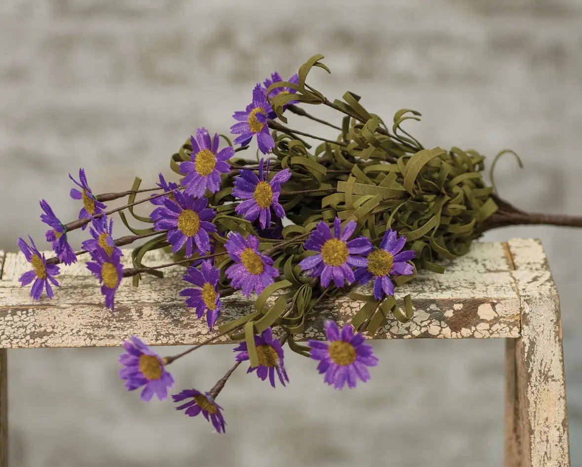 Mini Mountain Daisy Pick