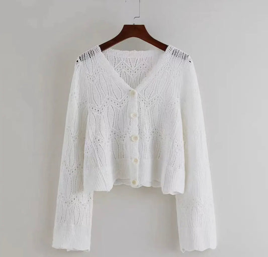 Lacy Springtime Cardigan