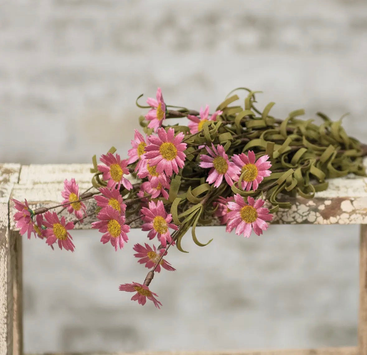 Mini Mountain Daisy Pick