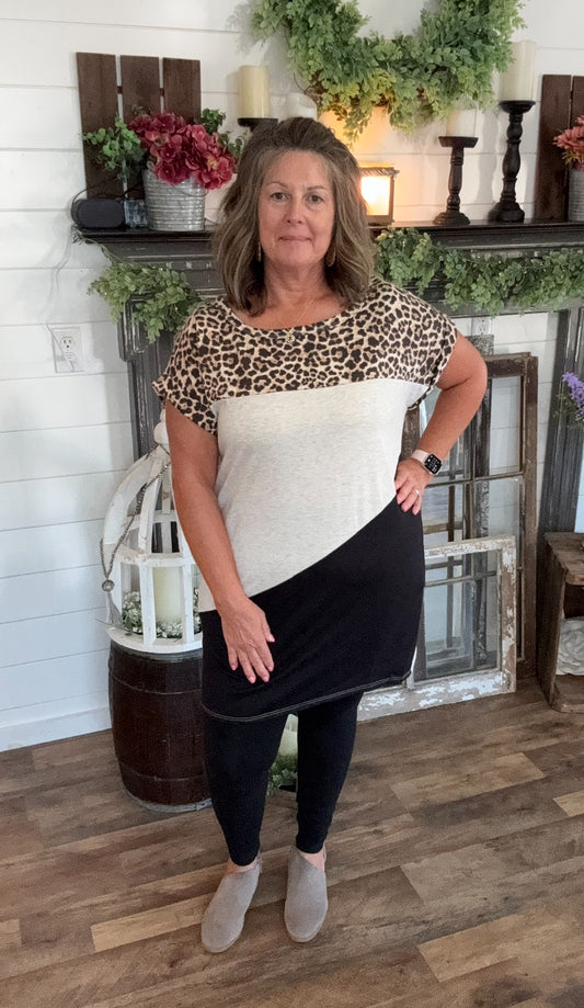 Kristie Color Block Dress