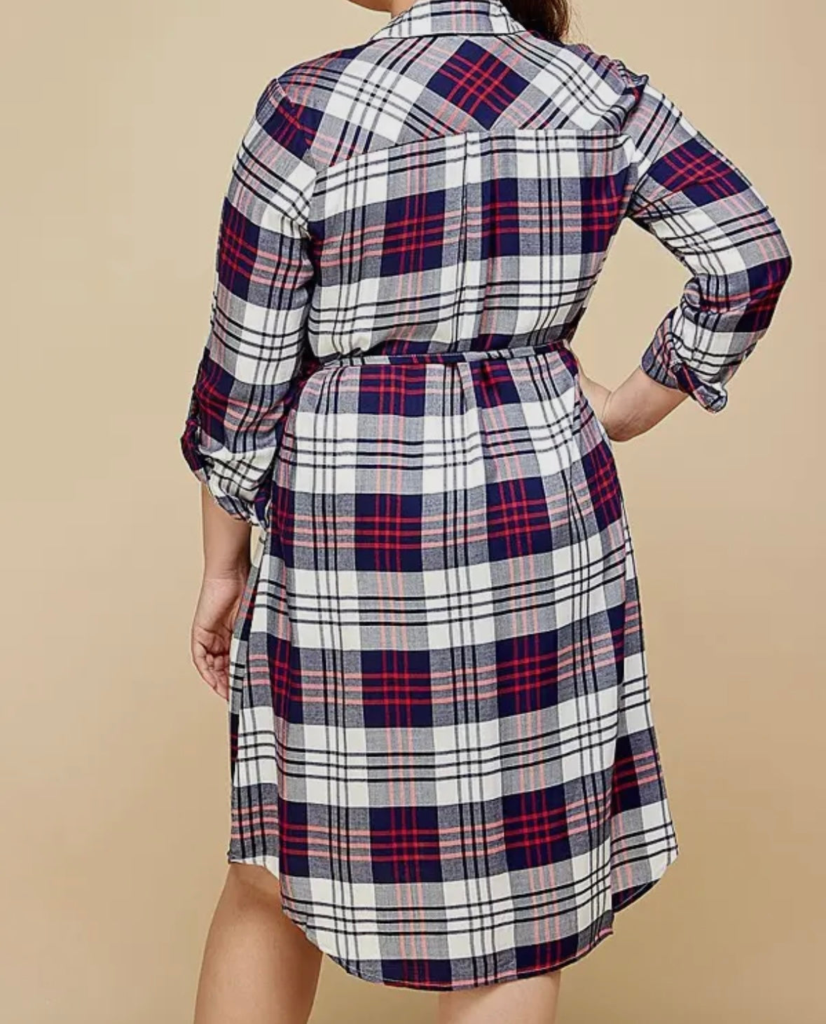 Plaid Holiday Dress