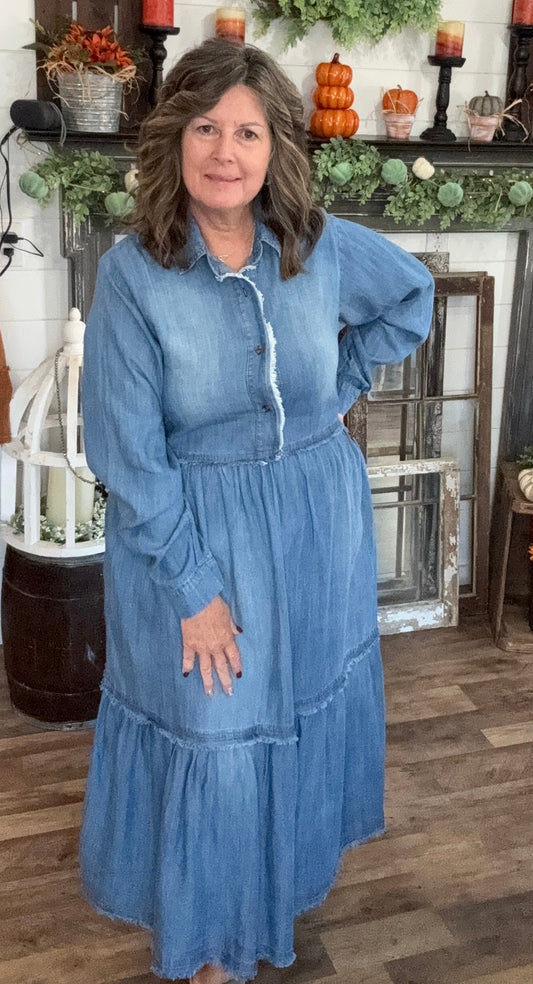 Button Front Washed Denim Maxi Dress by Easel